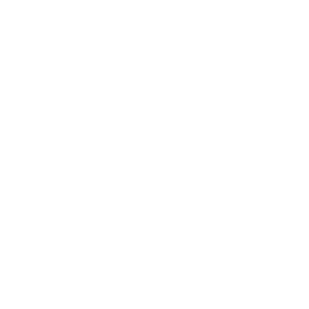 Professional Taekwondo Boxing logo